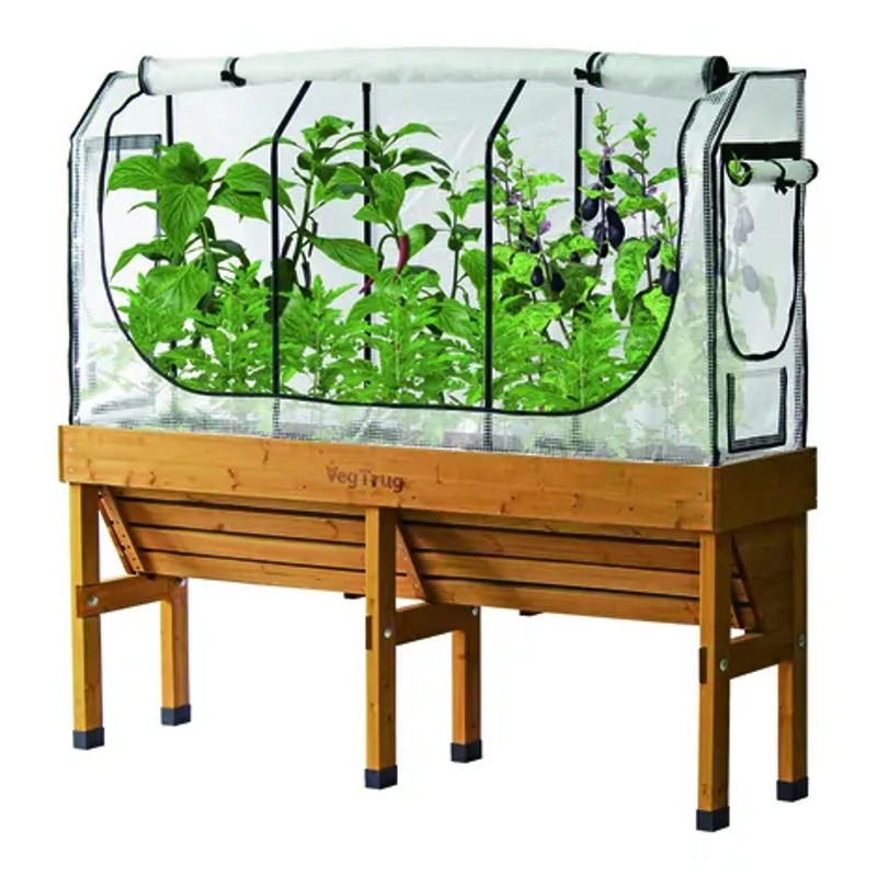 VegTrug Wall Hugger Frame & Cover (Medium) Health and Care